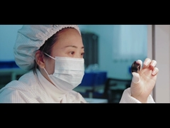 Einleitung der Firma